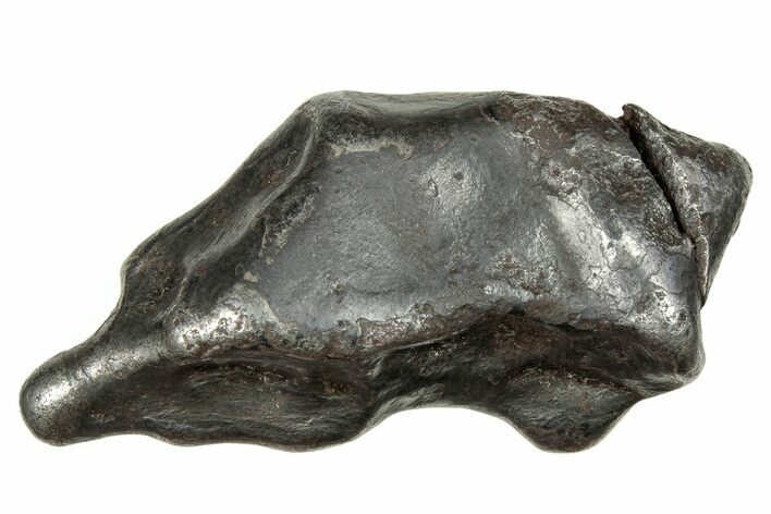 Fusion Crusted Sikhote-Alin Iron Meteorite ( g) - Russia #246937
